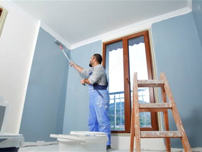 Bozkurt Boya Badanacı