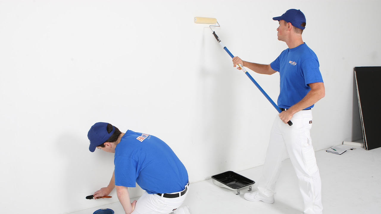 Bozkurt Boya Badanacı